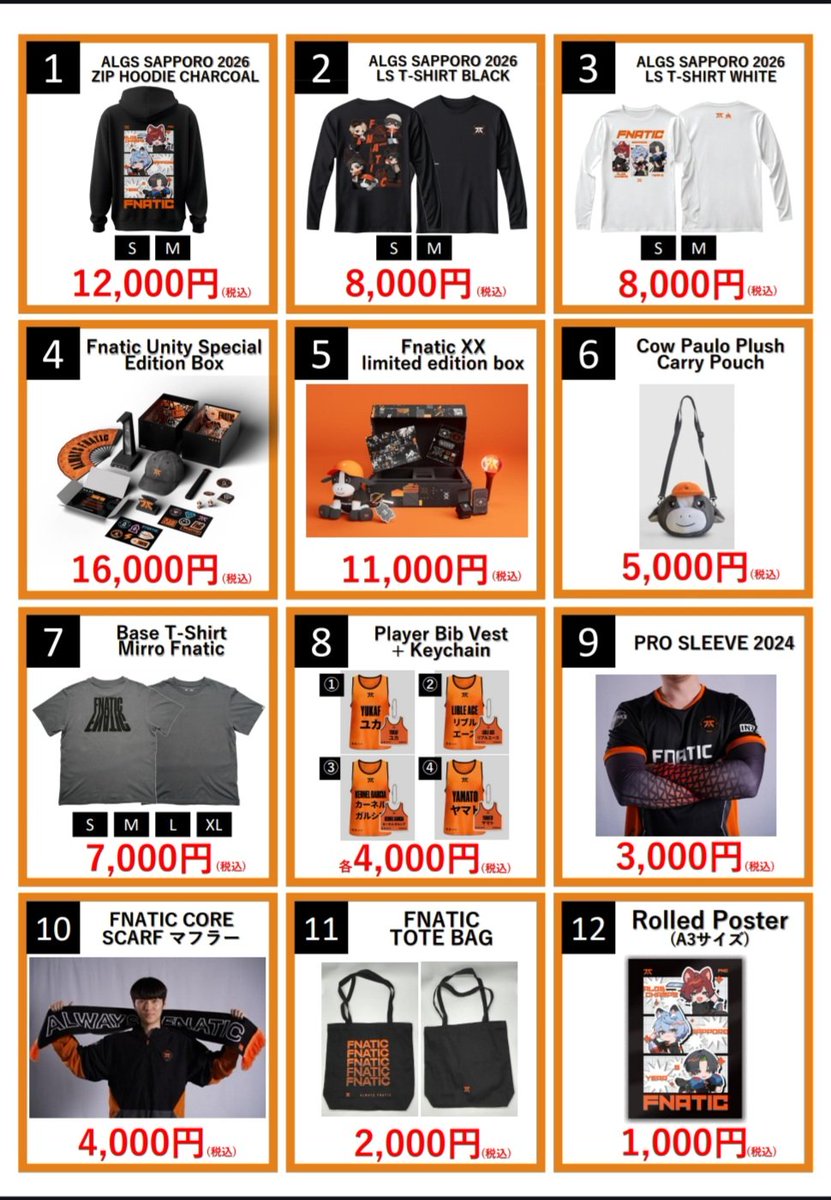 FNATIC JAPAN (@FNATIC_JP) / Posts / X