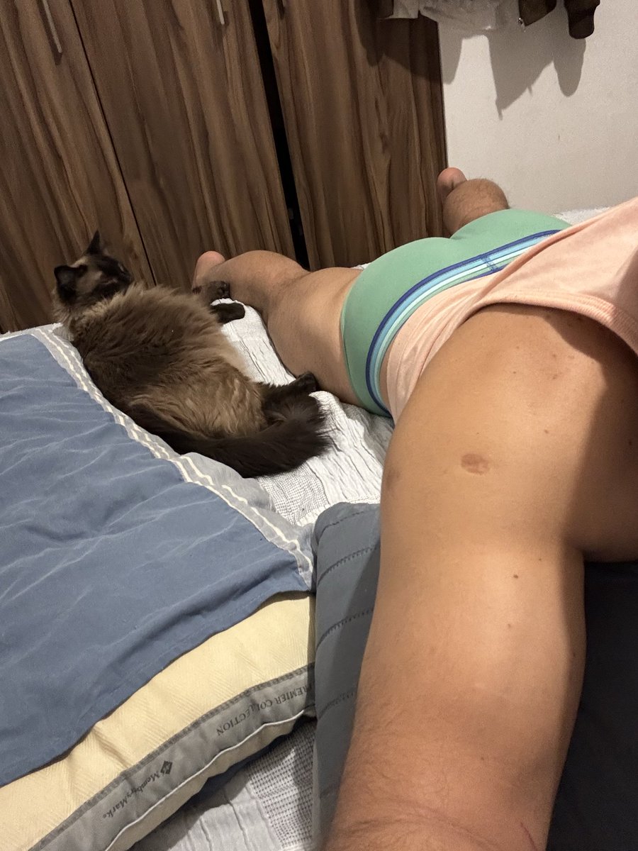 Ojalá mi gatito sea eterno