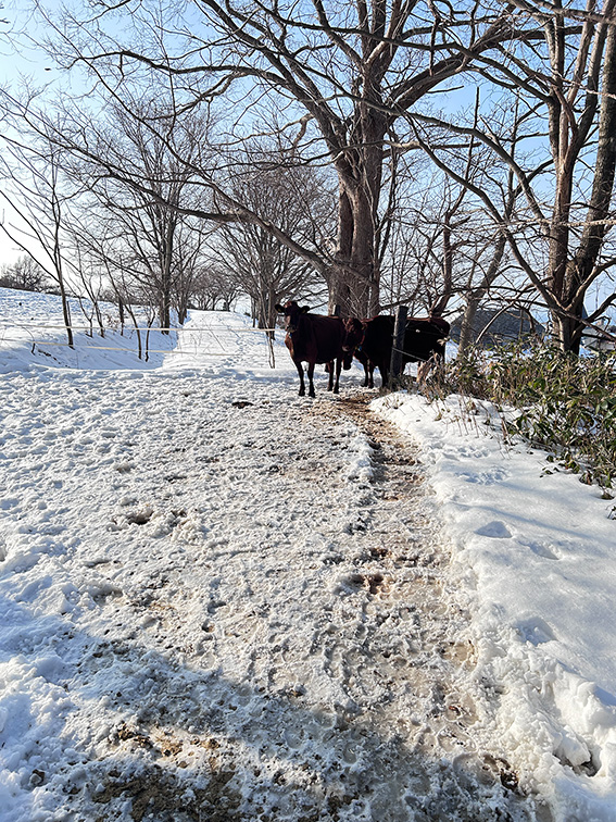 株式会社牧家 tweet media