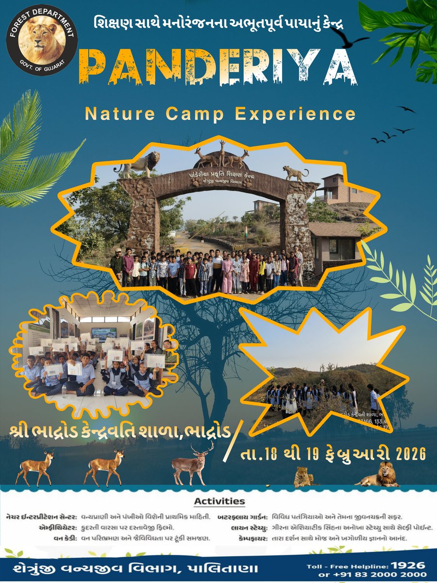 Shetrunjaywild1's tweet photo. 🌿 Panderiya Nature Camp Experience 🌿
 તારીખ : 18/02/2025 થી 19/02/2025
"ભાદ્રોડ કેન્દ્રવતિ શાળા,ભાદ્રોડ" ના વિદ્યાર્થીઓએ પાંડેરિયા નેચર કેમ્પમાં મનોરંજક અને શૈક્ષણિક અનુભવ મેળવ્યો! 🌳✨
@arjunmodhwadia @CMOGuj @GujaratTourism @Collectorbhav @pravinmalibjp @PMOIndia https://t.co/GbxOQLeFEc