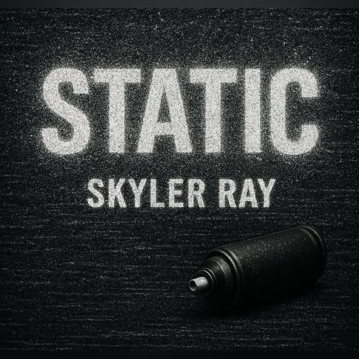 skyler ray tweet media