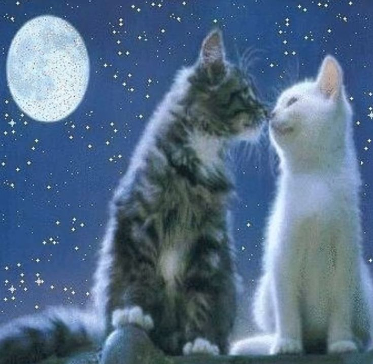 littlegirl67 (@rpedbyreality) on Twitter photo 