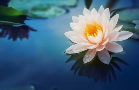 Kimi Konuların Özünü 
Kavrayabilen İçin,
Her Yeni Başlayan Gün 
Çiçek Açmak İçin Yeni Bir Fırsattır Aslında...