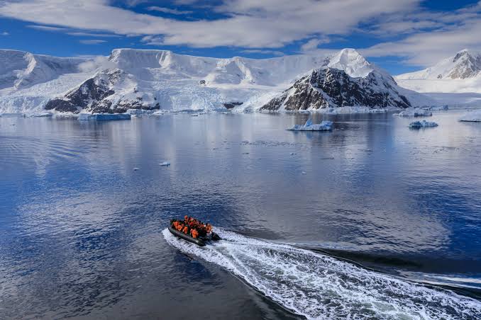 World Insights tweet media