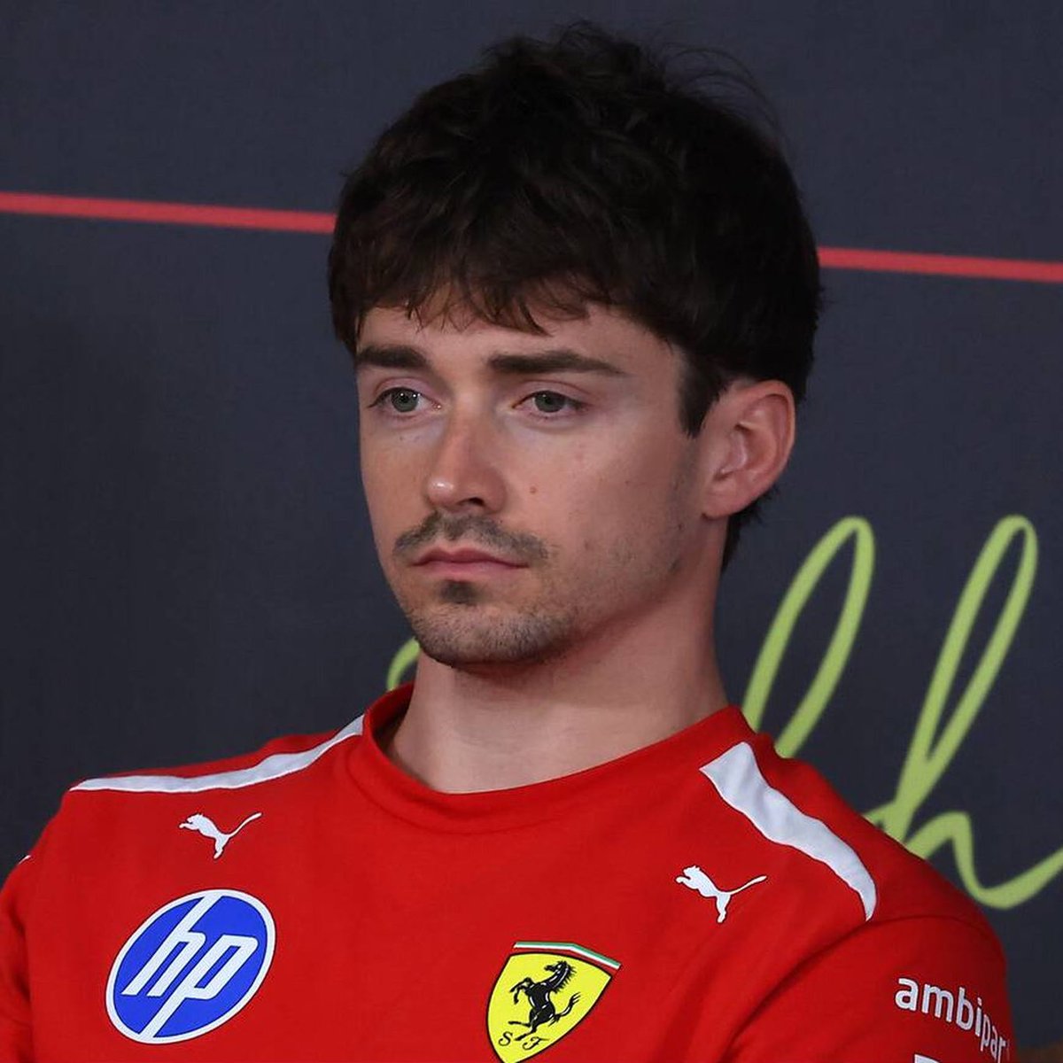 not a thought behind those eyes