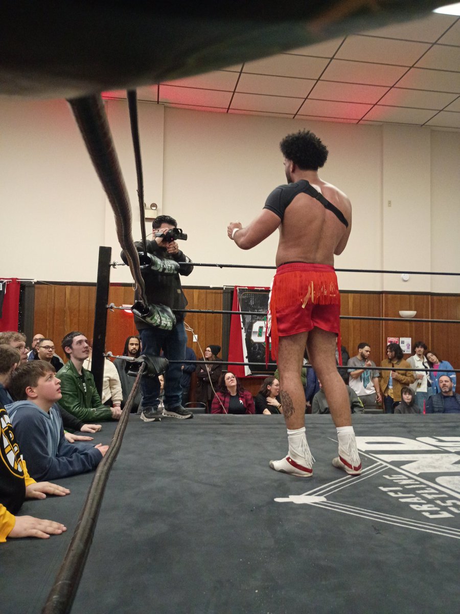 wallet inspector (REAL) tweet media