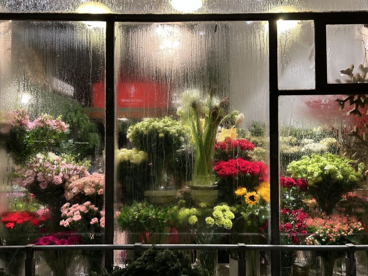 ✮⋆˙ (@dmugg7) on Twitter photo 