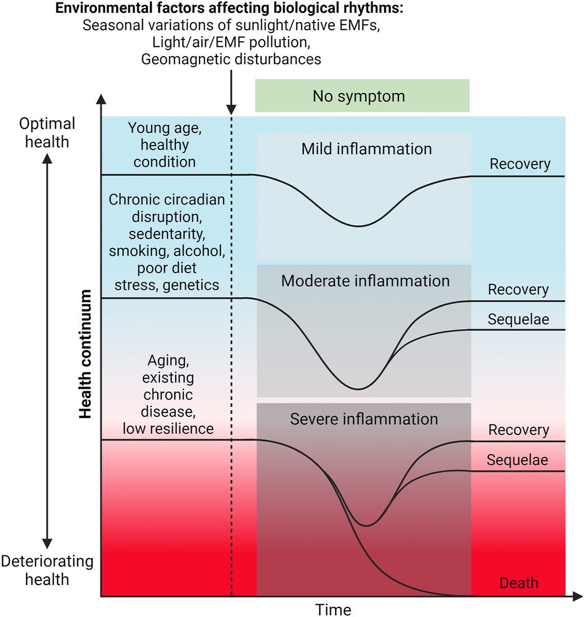 Circadian: Your Natural Rhythm tweet media