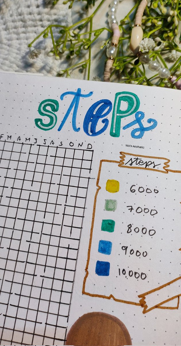 niasaesthetic's tweet photo. My Steps Tracker for 2026 💖 // Nia’s Aesthetic ✨👟🌿 

#steptracker https://t.co/mp7oksSIkx