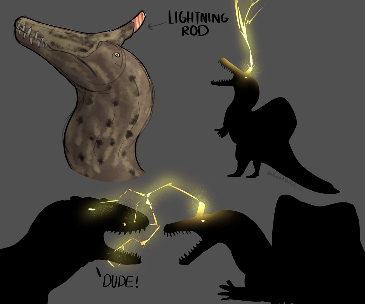 heatonic_'s tweet image. spinosaurus mirabilis possible crest usage (ft. carcharodontosaurus)