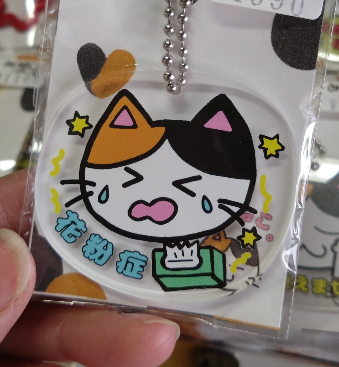 みけねこ。 (@mike_myi) / Posts / X