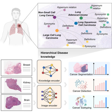 Cancer Cell tweet media