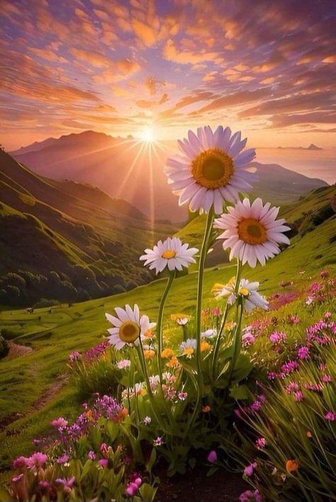 Bhawna Maurya tweet media