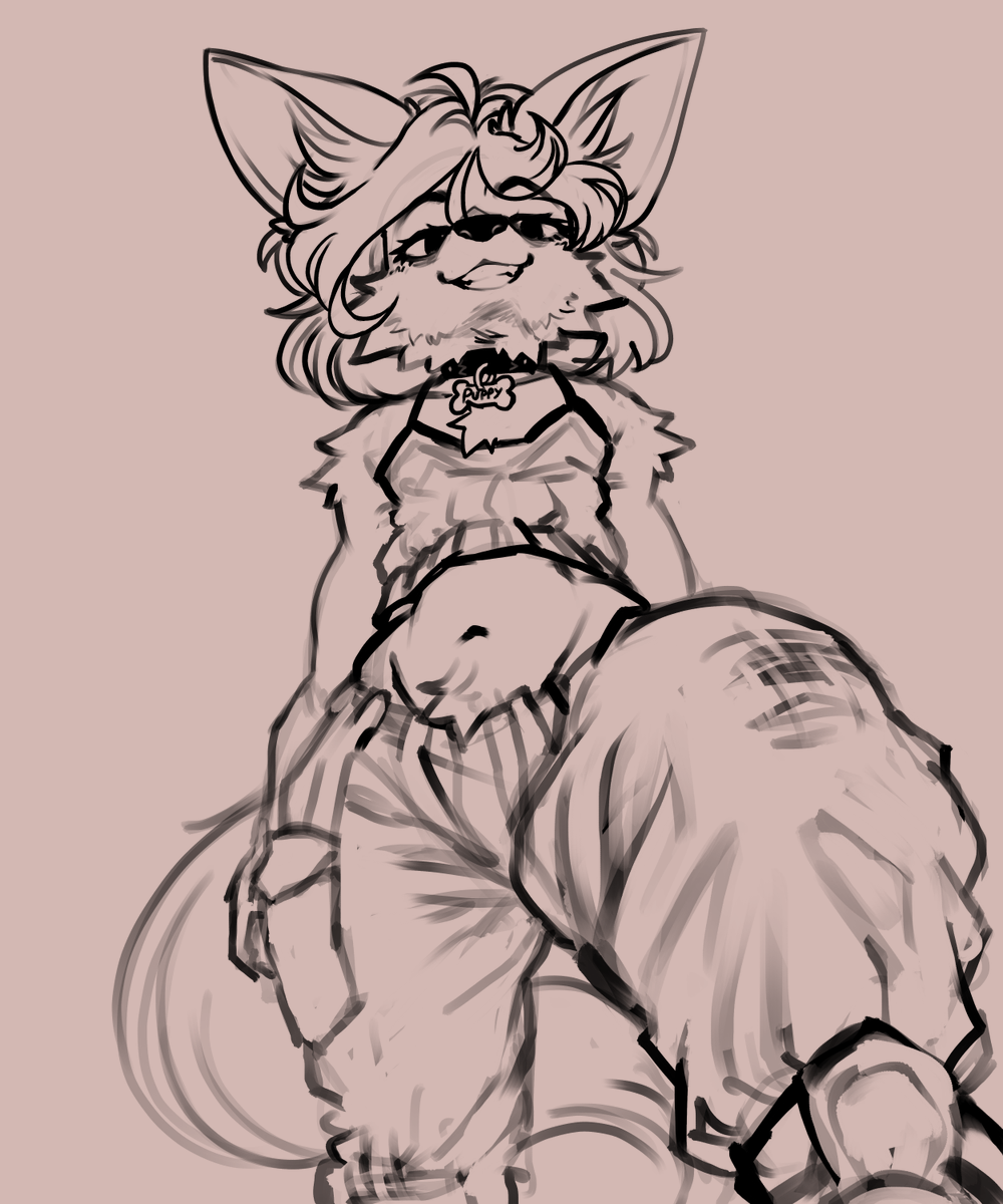 MattyDoro tweet media