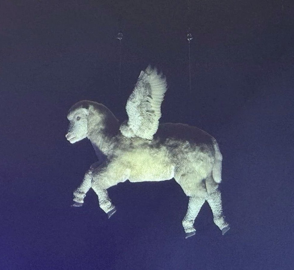 acid 🐀 #PAIGETWT tweet media