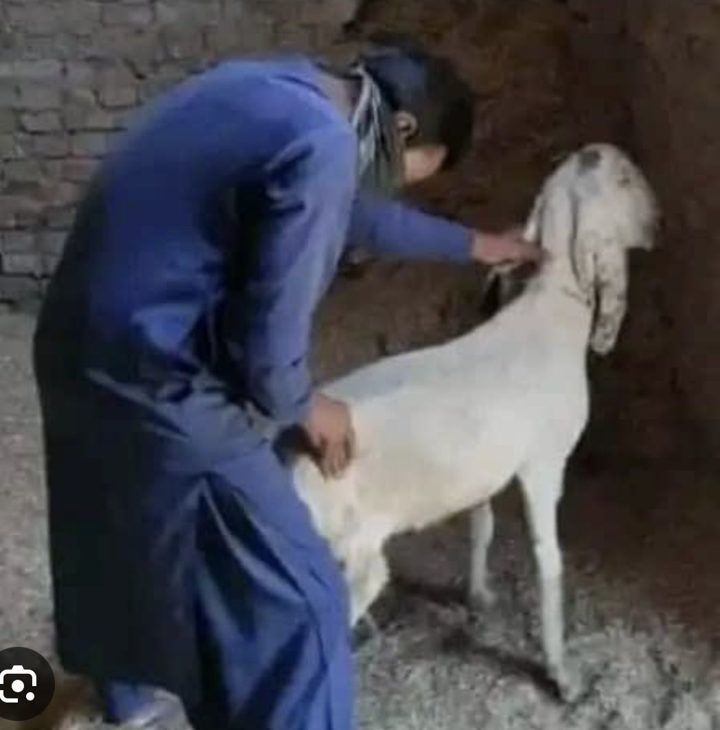 Mo-Techno-T tweet media