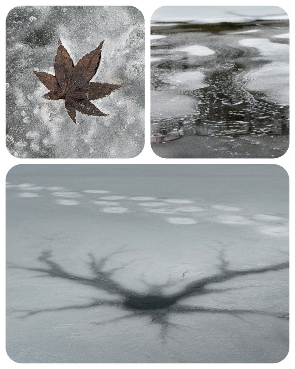 David Kindervater tweet media