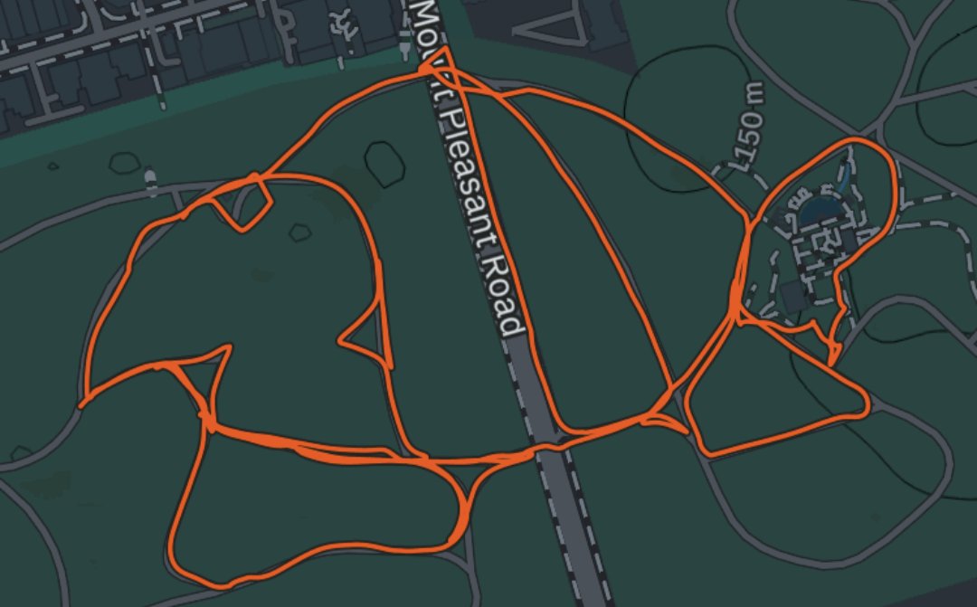 1gor_kan's tweet photo. My first ever GPS art is, fittingly, a 🐢. Can you see it? https://t.co/d3MtswN7PM