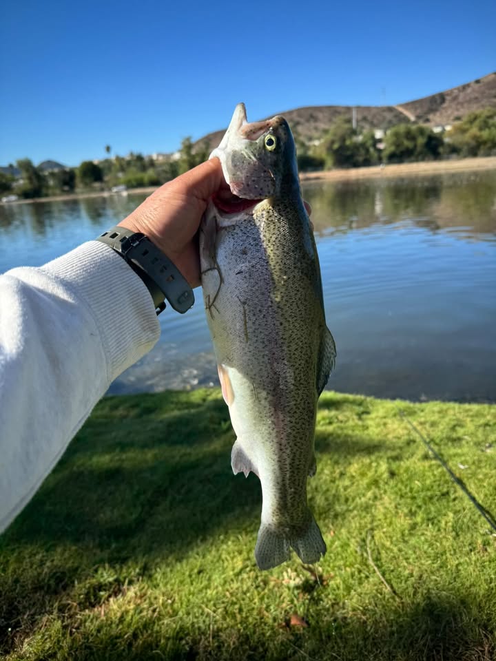 Santee Lakes tweet media