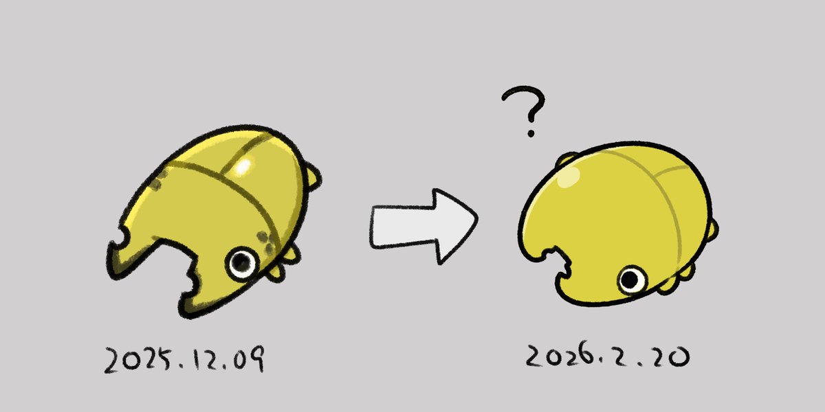 おわかりいただけただろうか・・・