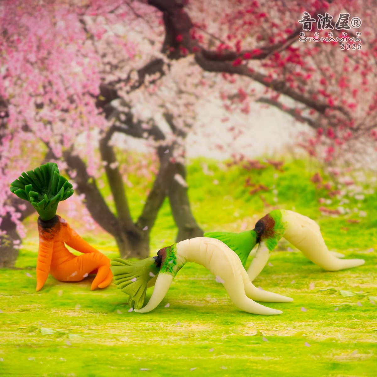 せくすぃ～おすわり大根＆人参 Sexy sitting radish & carrot