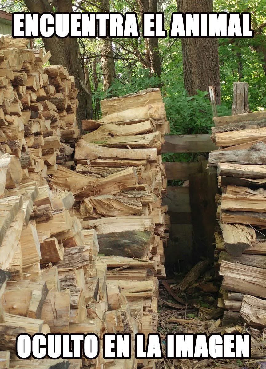 Diego Royet tweet media