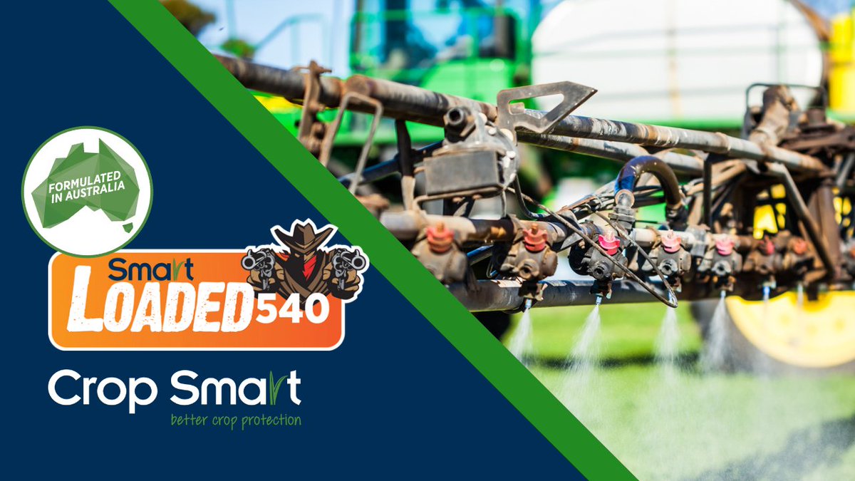 Crop Smart tweet media