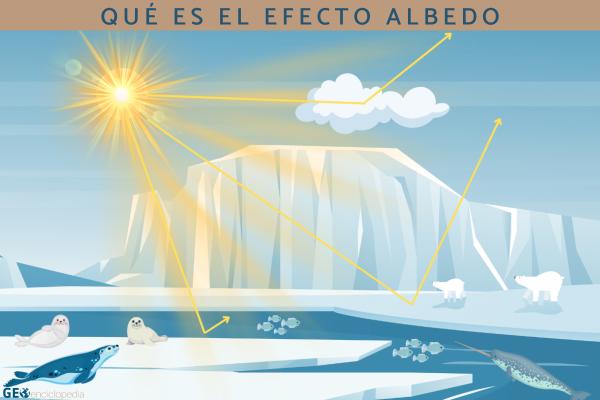 ecologiaverde's tweet image. Efecto albedo: qué es, factores, ejemplos y consecuencias ecologiaverde.elperiodico.com/efecto-albedo-… #física