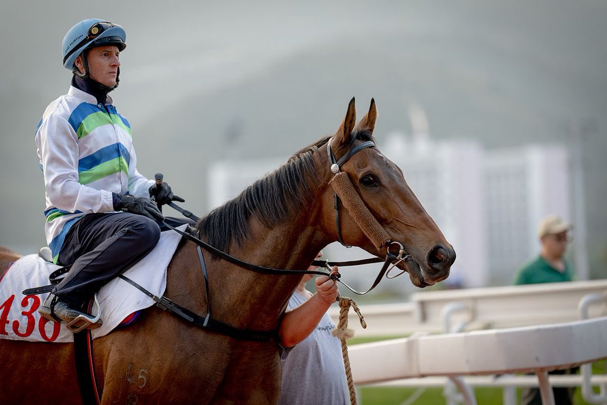 👋 Voyage Bubble + <a href="/zpurton/">Zac Purton</a>! 

📸 <a href="/A_Evers/">Evers</a> | #TripleCrown | #HKracing