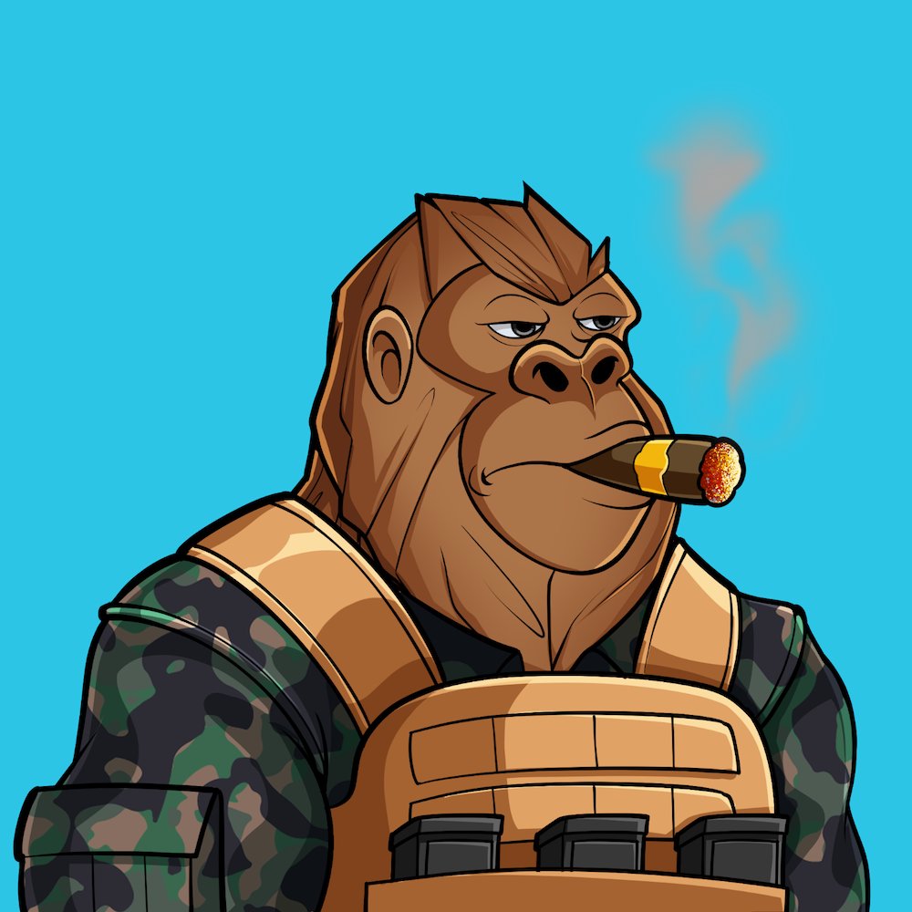 KOKO Labs 🍌 tweet media