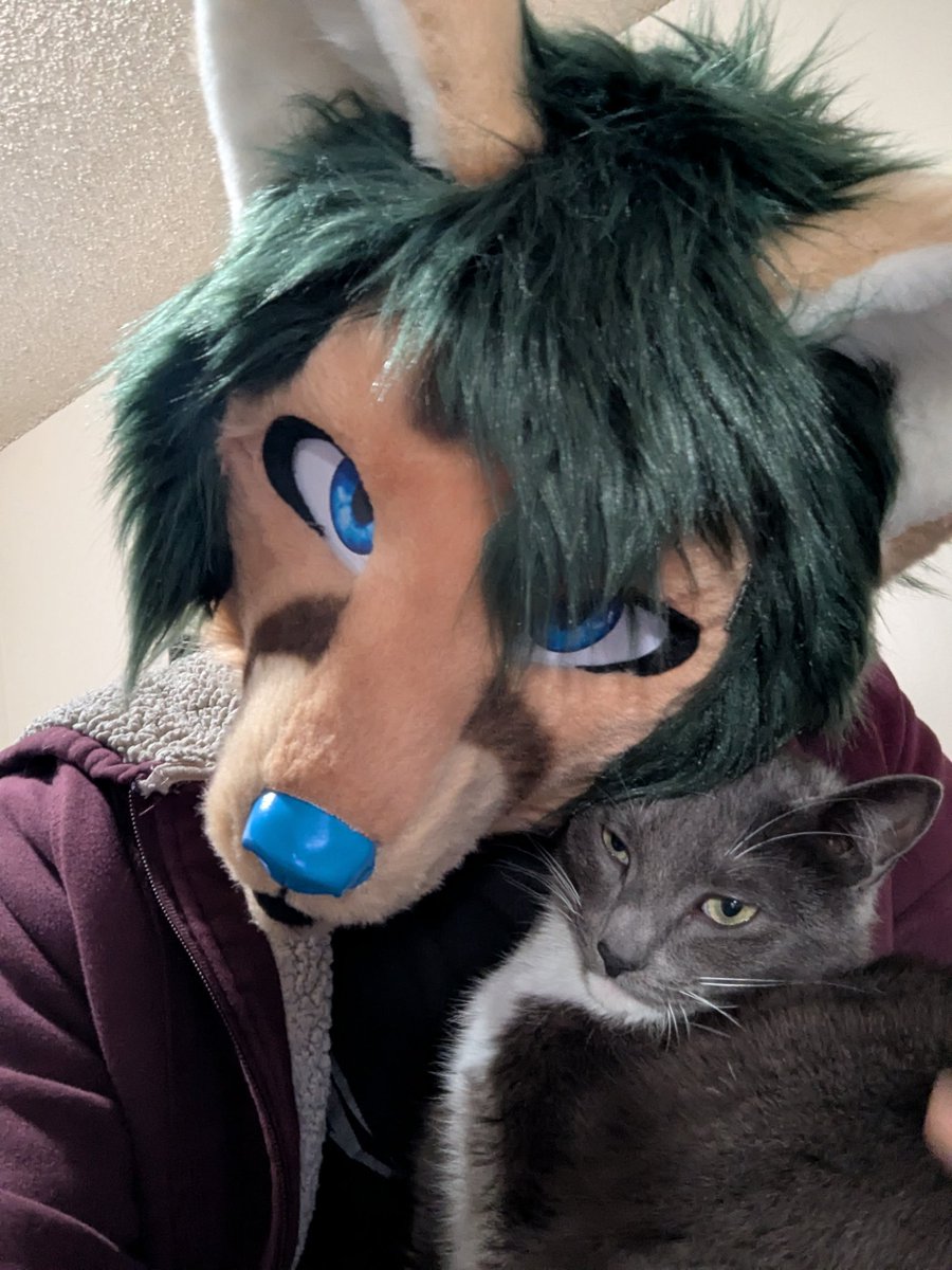 Keith DeFox tweet media