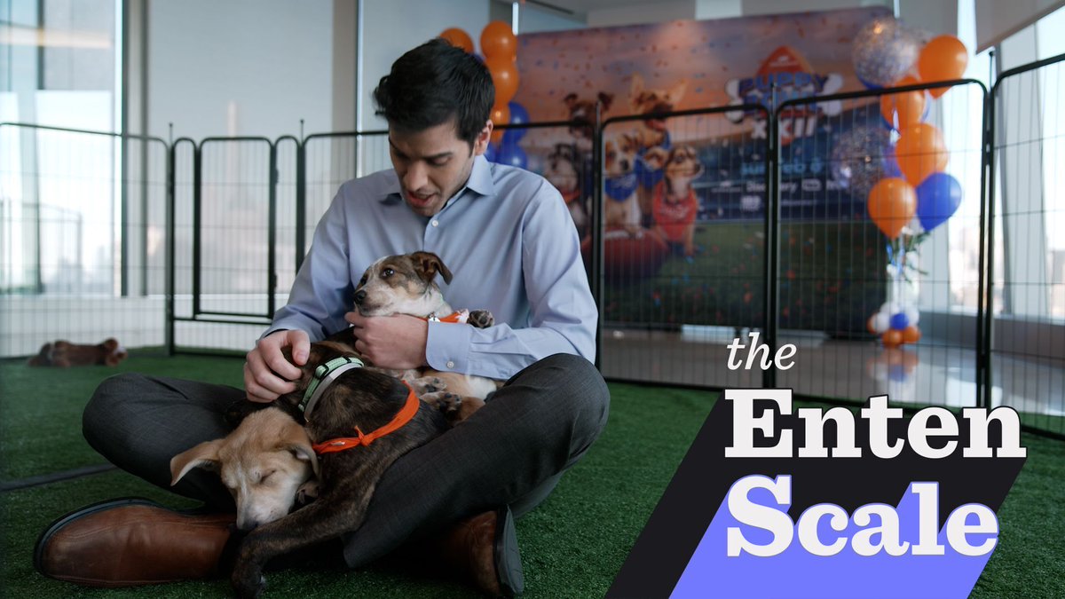 (((Harry Enten))) tweet media