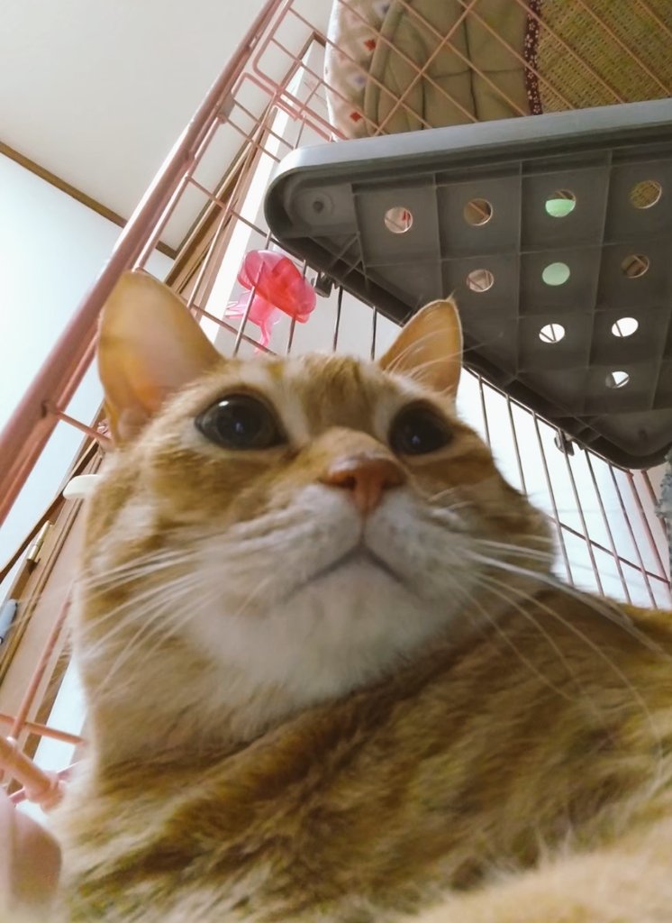 おはようございます(⁠•⁠‿⁠•⁠)
#過去画像