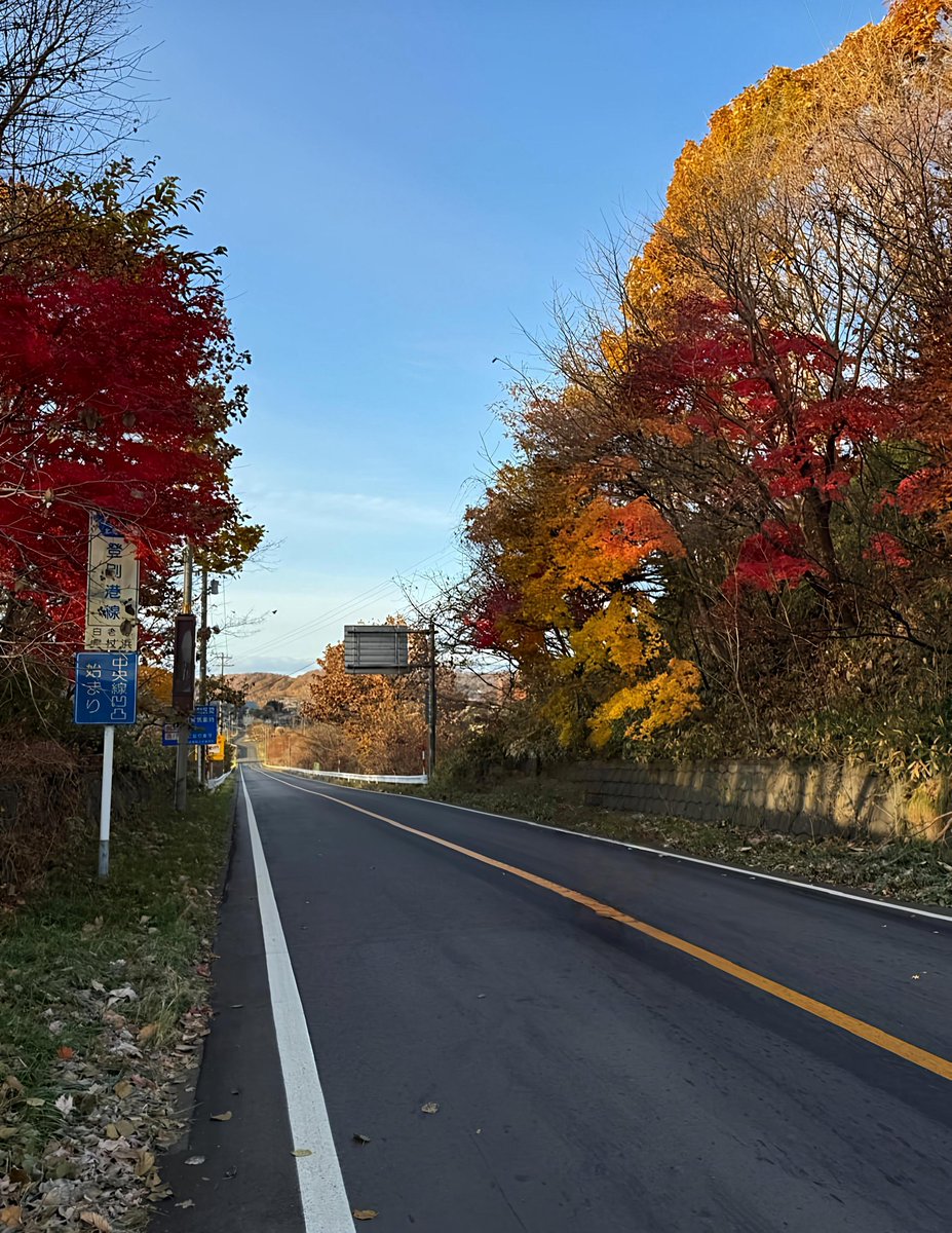 ahujasun's tweet photo. A quiet road framed in autumn fire — where every turn feels like a conversation with nature. 🍁
Stillness, color, and the promise of a new horizon ahead.
#AutumnVibes #NaturePhotography #TravelDiaries #RoadLessTraveled #LandscapeLovers #Wanderlust #FallColors
#Serenity
❤️UPaa https://t.co/bzOJmgxlxM