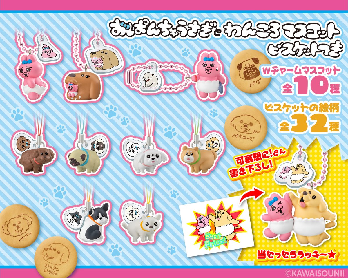 ちゃたろー🐶🐾 (@kkkmmt_15) / Posts / X