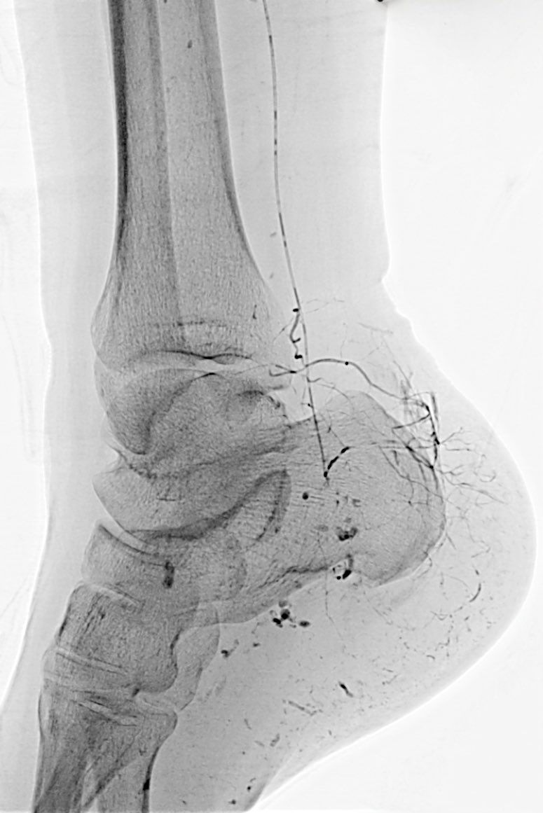 Osman Ahmed tweet media