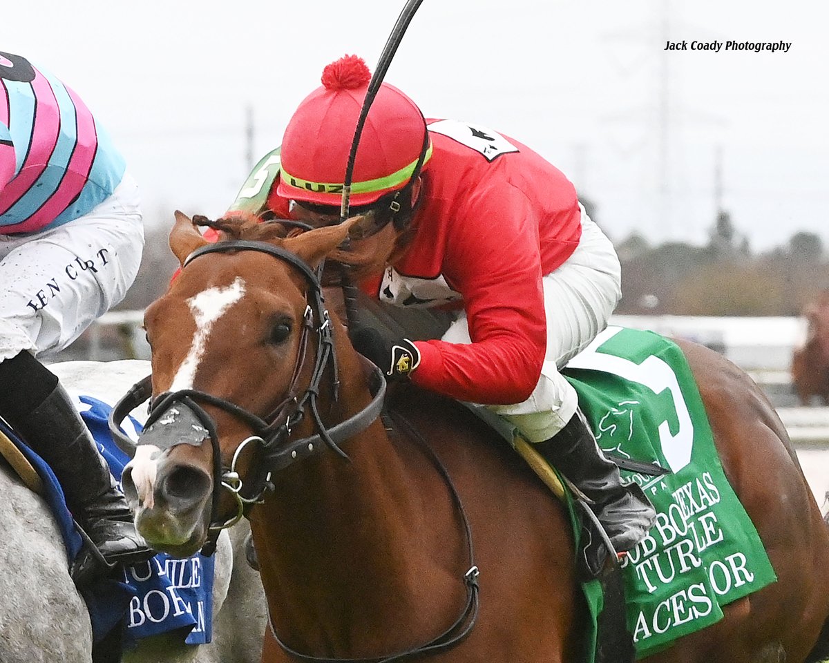 KyHBPA's tweet photo. Sat's @TurfwayPark's Battaglia - major prep for #JeffRuby -- headed by @colebrookstable-trained Street Beast w Attfield (@morley_racing) &amp; Aces Honor (@EWest592). @HorseRacingKK has all the details &amp; more. 📸 @CoadymediaUSA, @coglianesephoto, Jack Coady
https://t.co/bxmeBy4mAD https://t.co/ebQVj65RlY