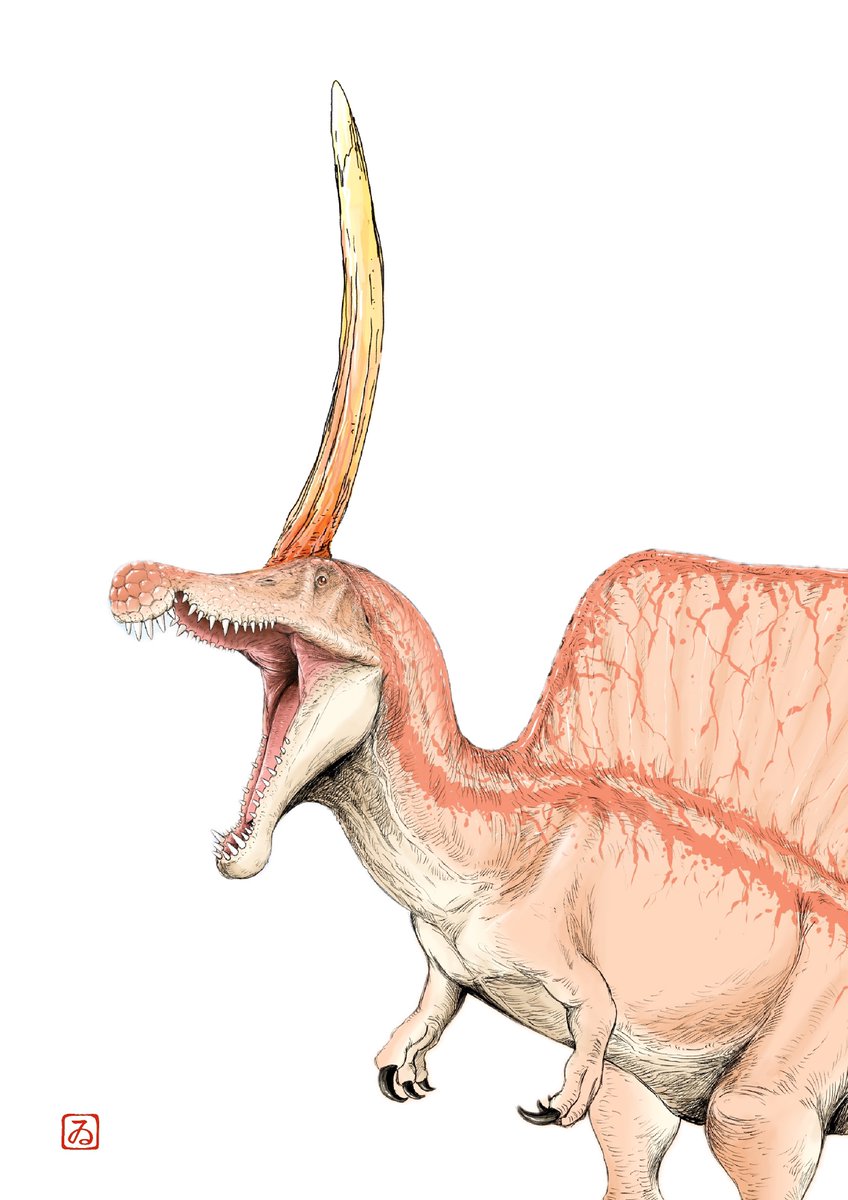 kurinosukeboy's tweet image. こうですか？