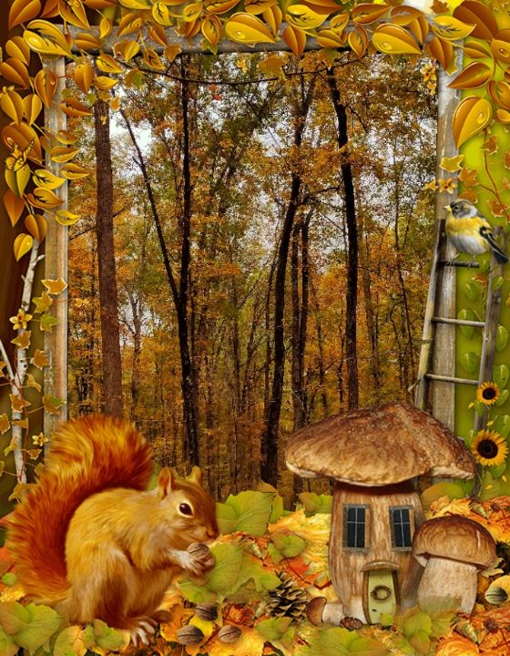 Spirit Fairbairn tweet media