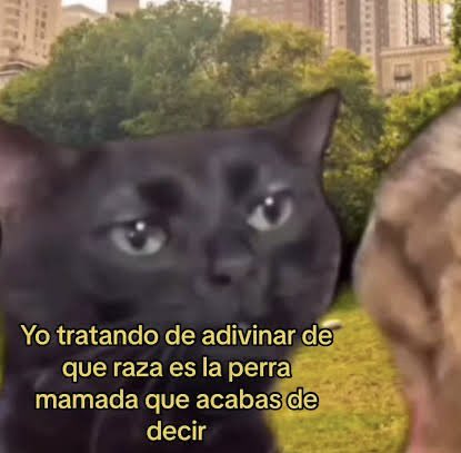 RLangdon_'s tweet photo. @azucenau @SergioMayerb https://t.co/VDrqQrme3H