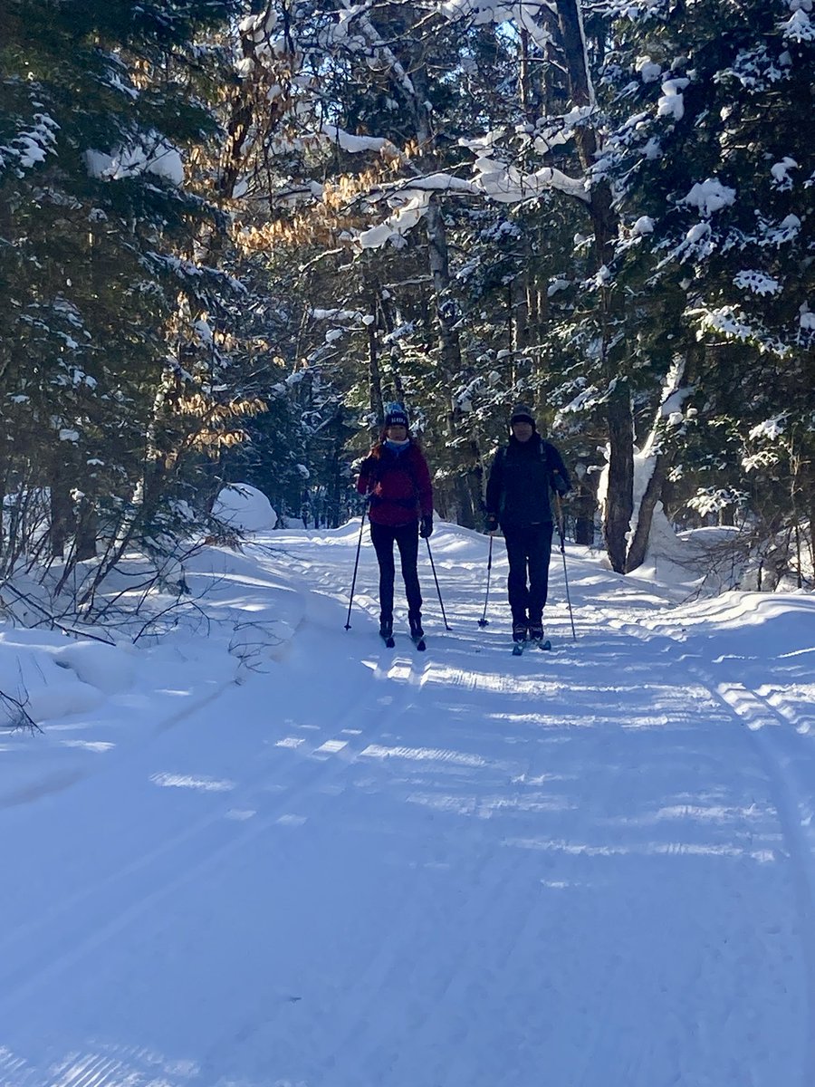 Healing Inspirations tweet media