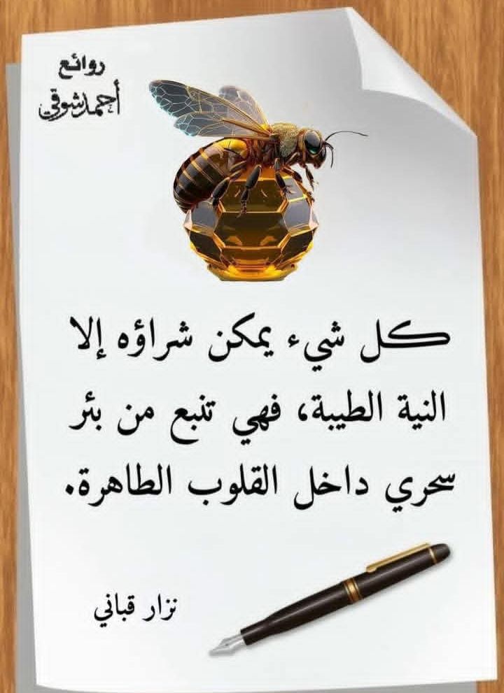 rhf1182809's tweet photo. @WEBXYiw22LuNA5e https://t.co/XTR8GLNKP7