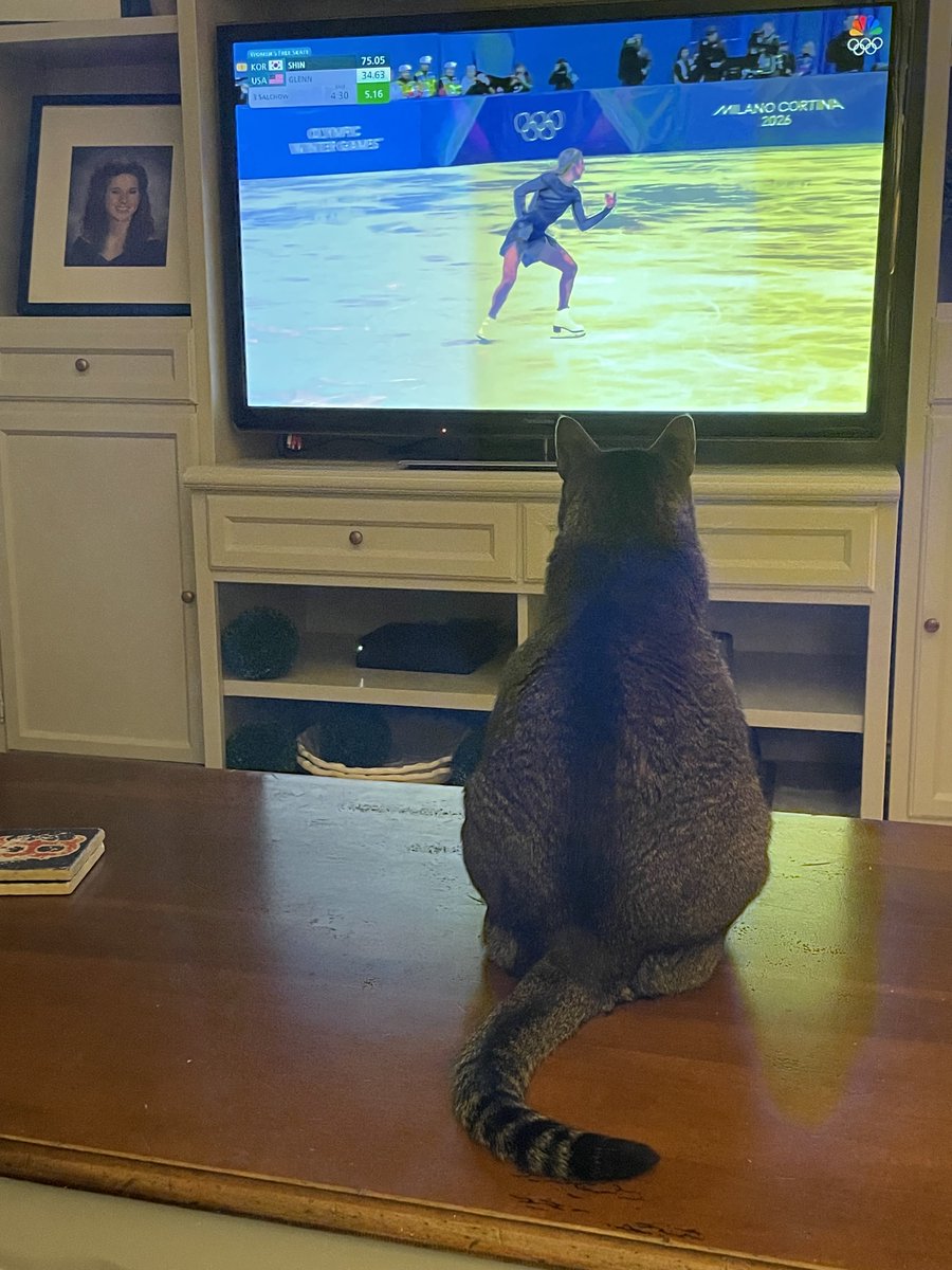 George The Cat is a big ⁦<a href="/AmberGlenn_/">Amber Glenn</a>⁩  fan!!