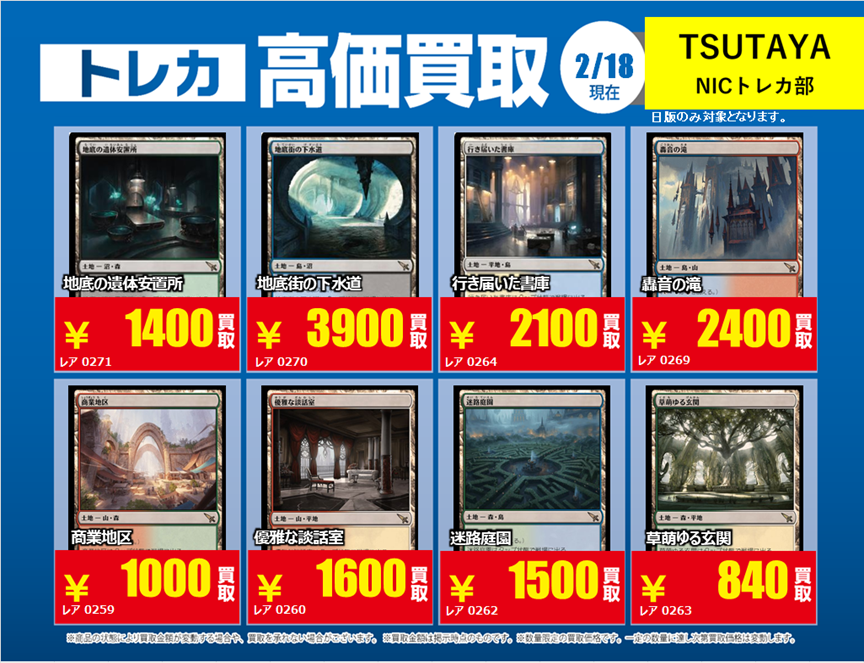 X限定強化買取】 🔥MTG 土地/特殊土地🔥 該当カードを事前に仕分けの上