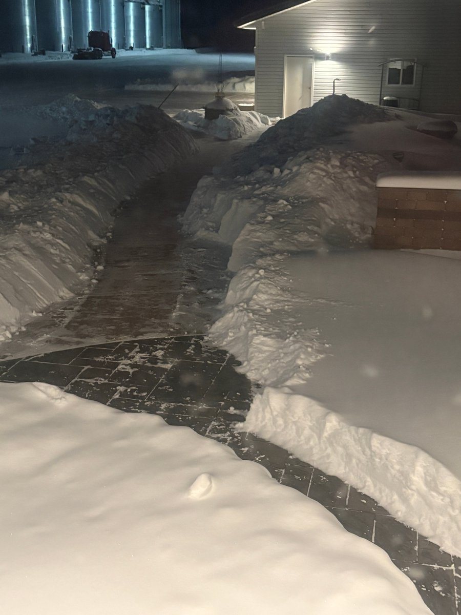 David Hamilton tweet media