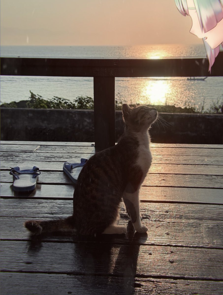 azami 星洛薊野 | singer & topliner |意識載體冬眠中 tweet media