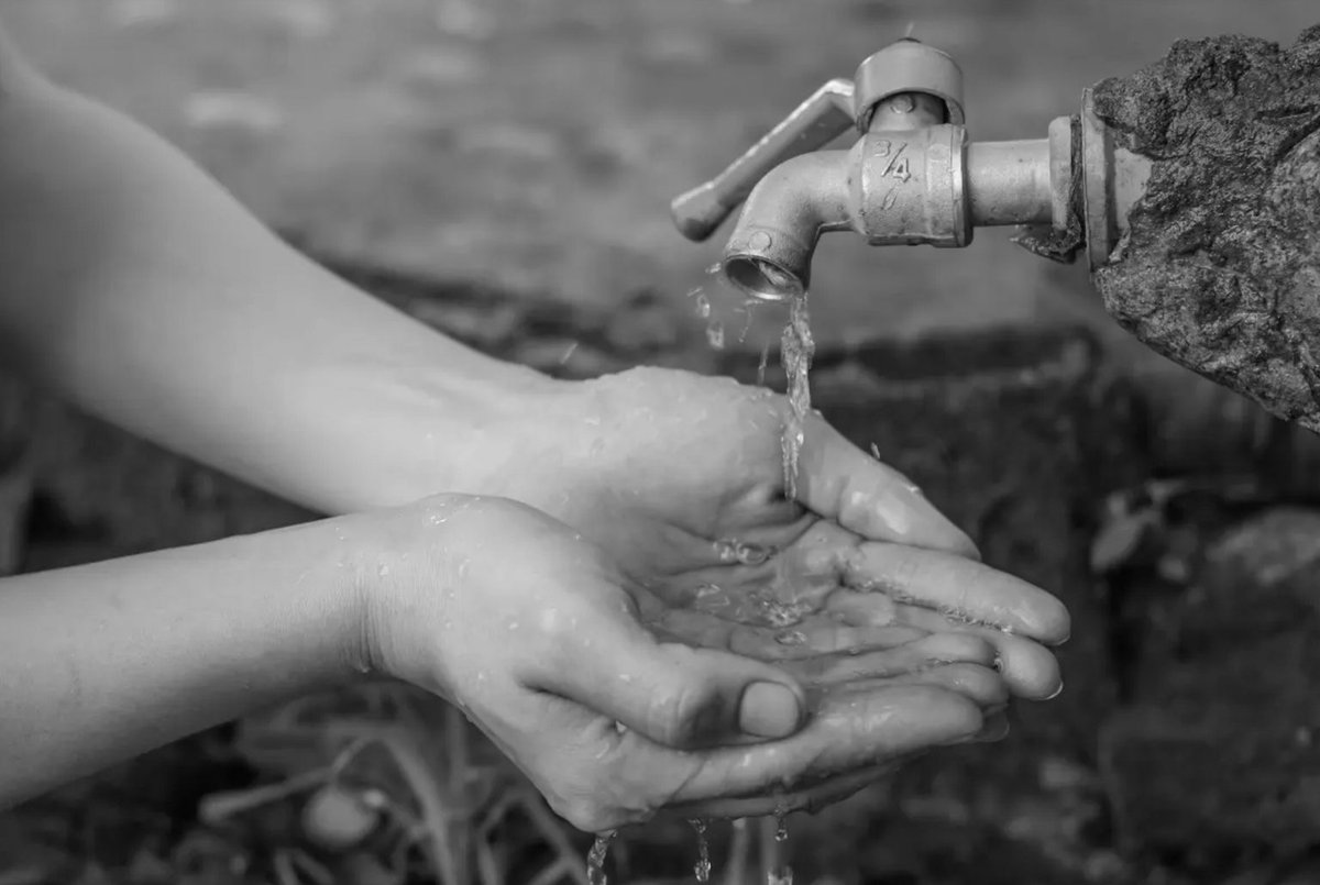 Investigadores del <a href="/CUAAD_UdeG/">CUAAD_UdeG</a> impulsan un Laboratorio Viviente para enfrentar la crisis hídrica en El Chivatillo, en Cocula, con ecotecnologías, participación comunitaria y trabajo desde la escuela. 💧

Conoce este proyecto: url.udg.mx/a0FJH