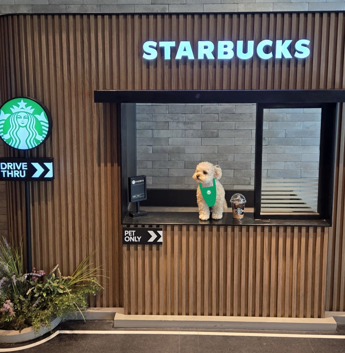 최밥풀 tweet media