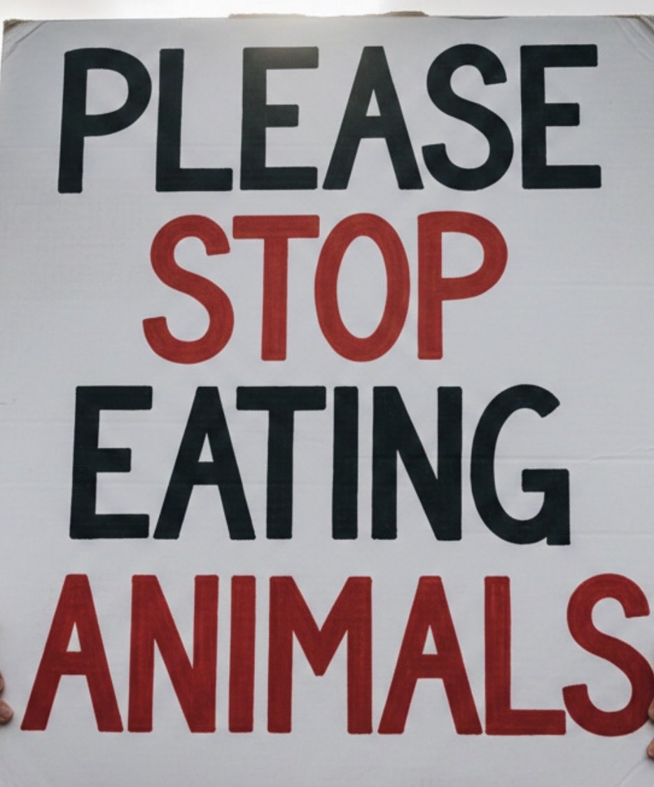 QueenAuracle…✨ tweet media