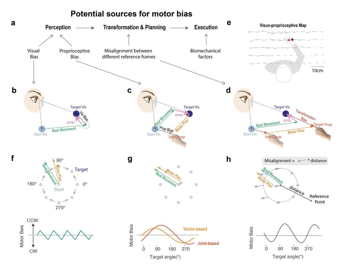 Jonathan Sanching Tsay @tsay.bsky.social tweet media